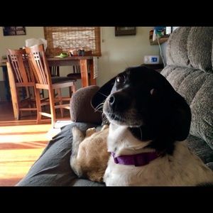 Meet your Posher, Samantha